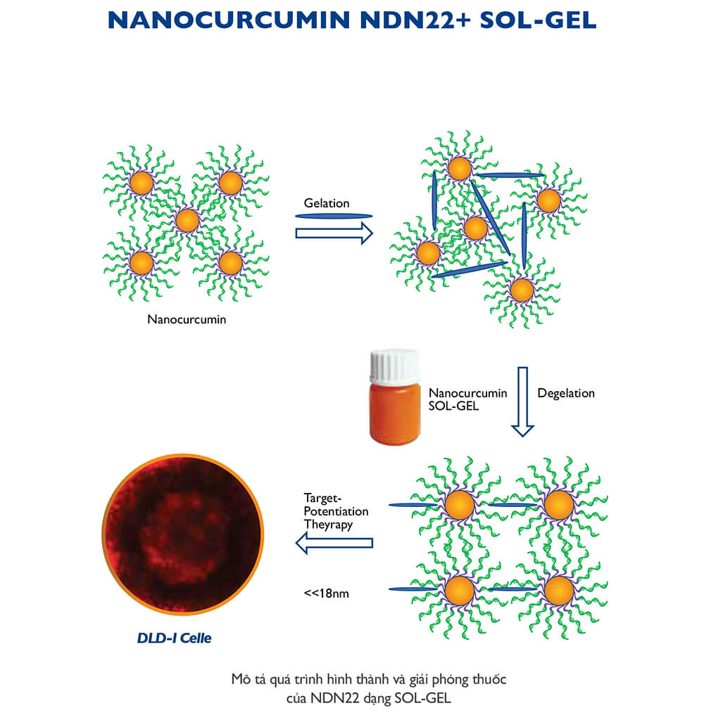 Nano Curcumin NDN: hàm lượng Curcuminoid cao nhất, kích thước hạt Nano nhỏ nhất 1